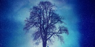 Kto jest najbardziej narażony na stres?