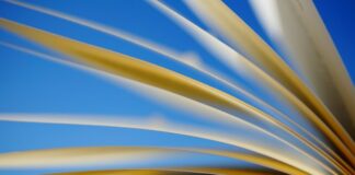 Jak odczytać przychód z PIT-11?