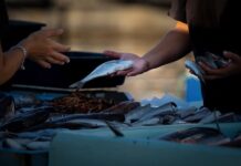 Jak legalnie sprzedawać własne rzeczy? Jak legalnie sprzedawać własne rzeczy?