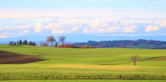 Czy 6000 brutto to dużo? Czy 6000 brutto to dużo?