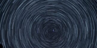 Co to jest obrót brutto?