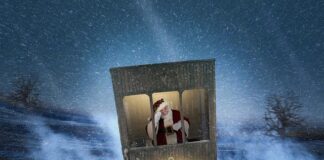 Za co może ścigać urząd skarbowy?