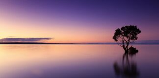 Czy wodę można wrzucić w koszty? Czy wodę można wrzucić w koszty?