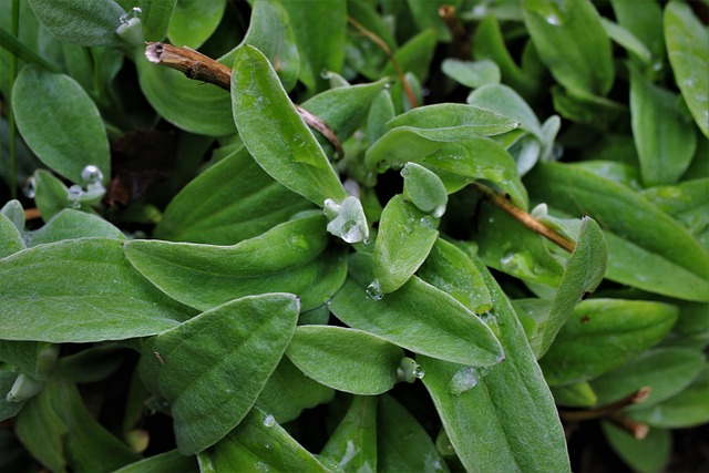 Jak pogodzić dwa etaty? Jak pogodzić dwa etaty?