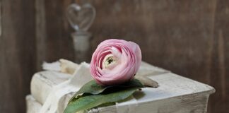 Czy zobowiązania to aktywa? Czy zobowiązania to aktywa?