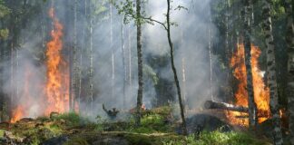 Ile w Szwecji dostaje się na dziecko? Ile w Szwecji dostaje się na dziecko?