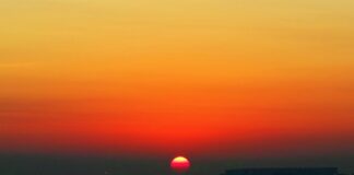 W co warto się przebranżowić?