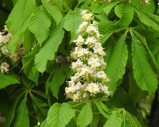Co zrobić gdy dziecko nie zda matury? Co zrobić gdy dziecko nie zda matury?