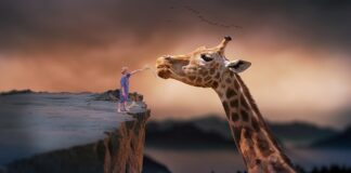 Gdzie można żyć za polską emeryturę?